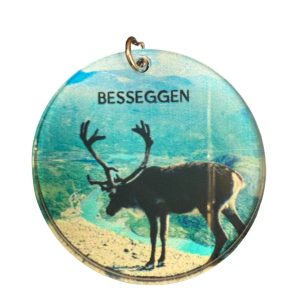 Nøkkelring - BESSEGGEN